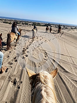 Horseback riding in dunes