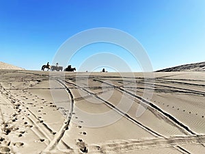 Horseback riding in dunes