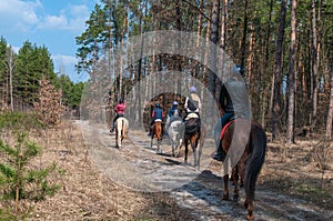 Horseback riding. Horseback riding in the forest.