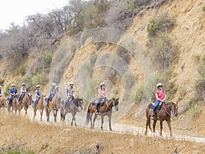 Horseback riding in Hollywood Hills trail