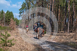 Horseback riding. Horseback riding in the forest.