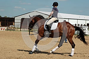 Horseback riding Lesson