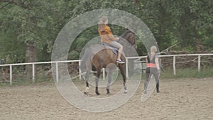 Horseback riding lessons