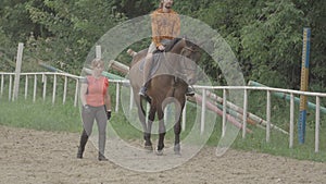 Horseback riding lessons