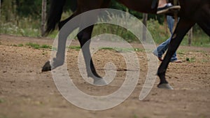 Horseback riding lessons - hooves of horse on hippodrome, slow-motion