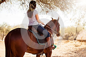 Horseback riding on a sunny day