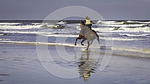 Horseback riding through the surf on the beach