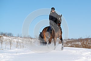 Horseback riding in winter