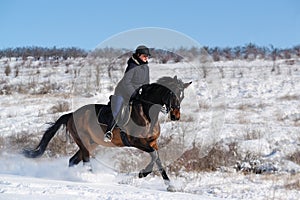 Horseback riding in winter