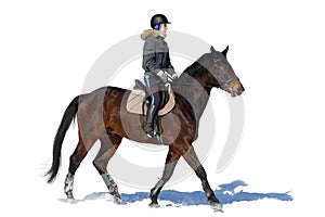 Horseback riding. A woman rides a horse. Training. Hippodrome. S