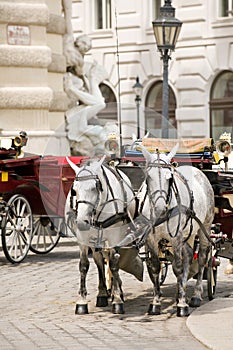 Horsedrawn carriage