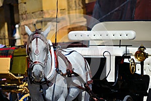 Horsedrawn carriage in Cordoba, Spain