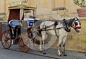 Horsedrawn carriage in Valletta Malta