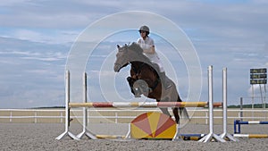 Horsegirl riding brown horse jumping over obstacles in outdoors parkour arena