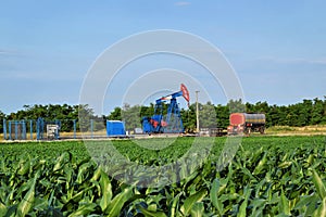 Horsehead oil pump in the middle of a corn farm