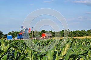 Horsehead oil pump in the middle of a corn farm