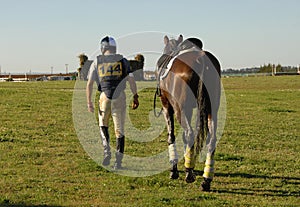 Horseman with horse