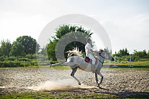 Horseman on horseback, ranch, horse farm. Galop, riding lessons