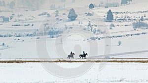 Horseman in winter