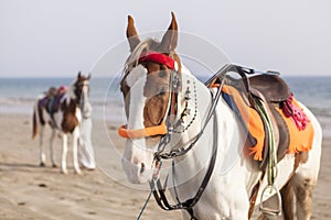 Horsemen in Karachi Beach, Pakistan