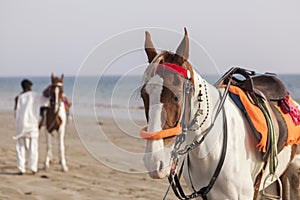 Horsemen in Karachi Beach, Pakistan