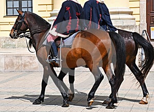 Horsemen on the street on horses