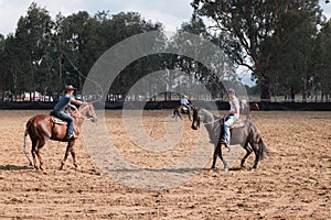 Horseplay at a Horsemanship Event