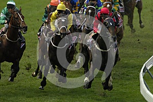 Horseracing 024