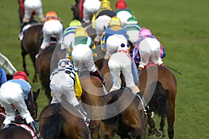 Horseracing 025