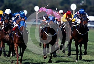 Horseracing_action003