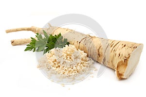 Horseradish