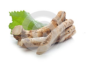 Horseradish