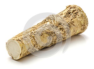 Horseradish