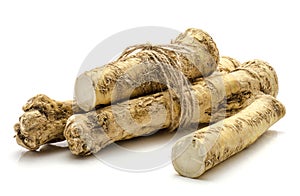 Horseradish