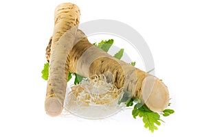 Horseradish and grated horseradish photo