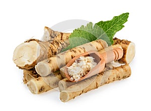 Horseradish isolated on white background