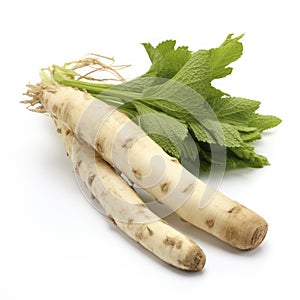 Horseradish isolated on a white background