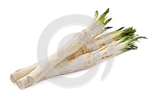 Horseradish root with leaves on white background.
