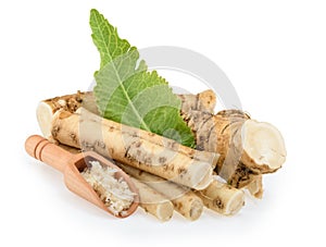 Horseradish roots isolated on white background