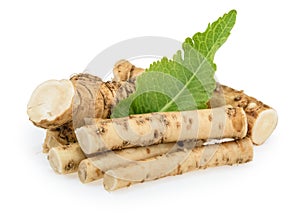 Horseradish roots isolated on white background photo