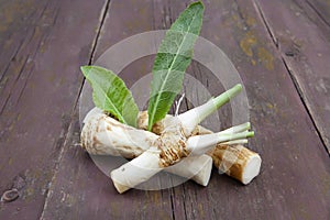 Horseradish roots with leaves