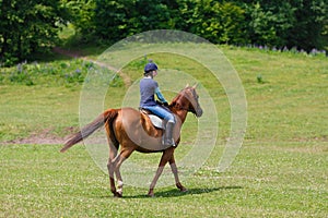 Horserider on the meadow