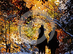 Horseriders in an automnal forest with snow