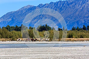 Horseriding near Glenorchy, New Zealand