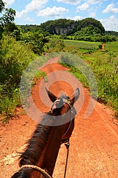 Horseriding in Vinales