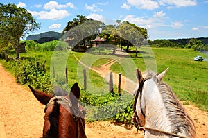 Horseriding in Vinales photo