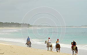 Caballos sobre el Playa 