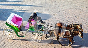 horses and a beautiful old carriage in Djemaa El Fna square, Marrakech