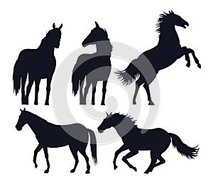 horses black animals silhouettes isolated icons