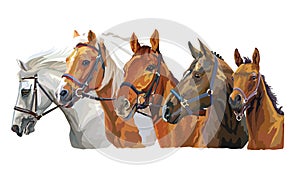 Horses in bridle 2